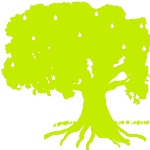 NEW-LIFE-FAMILY-CHURCH-Lime-tree